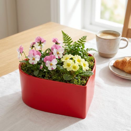 Článok Romantické rastlinné srdce miska na rastliny srdce červené 15×15×7cm 3ks