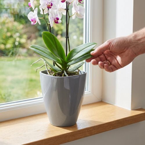 Kvetináč na orchideu lesklý Ø12,5cm sivý 1 kus | Floristik24.sk