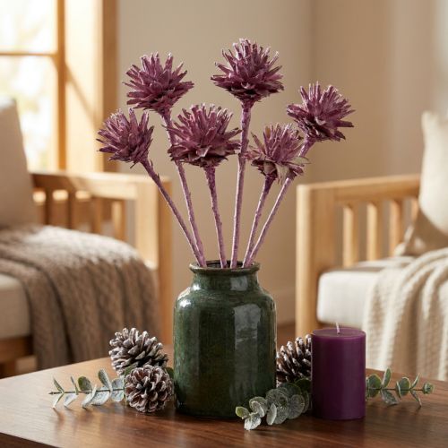 Článok Leucospermum 1 ostružina matná 25 ks