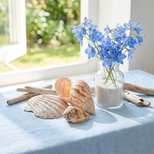Dekorácia lastúry morský slimák prírodný 350g × 3ks | Floristik24.sk