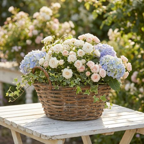 Kvetináč, shabby chic, prírodná biela, V14cm Ø30cm s rúčkami, vintage dekor | Floristik24.sk