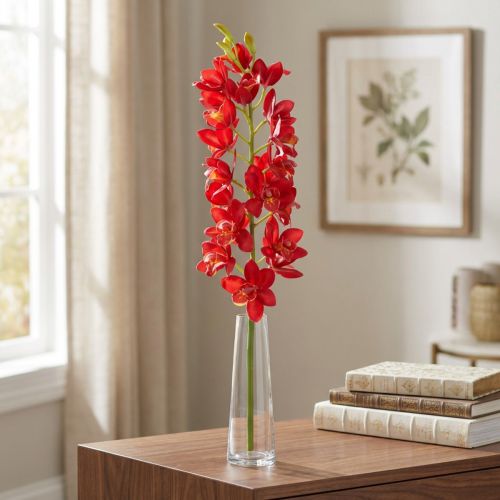 Orchidea Cymbidium červená 78cm | Floristik24.sk