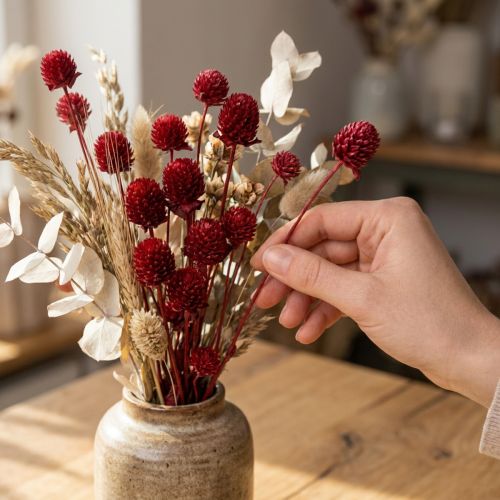 Článok Glóbus amarant Gomphrena Globosa v tmavo červenej farbe L45cm 100g