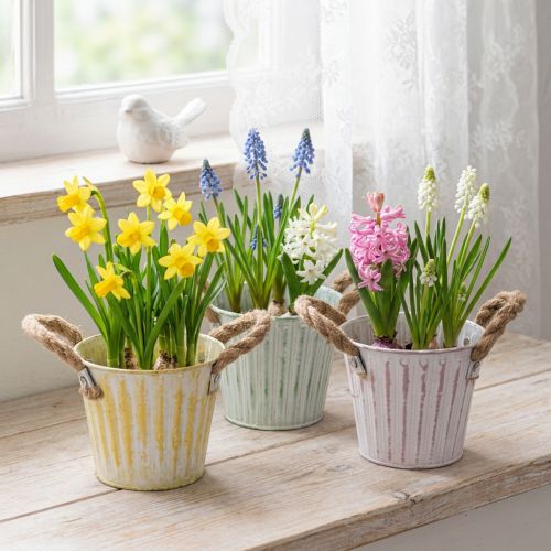 Vedro na kvetináč, kovový kvetináč s rúčkami, dekoratívny kvetináč, ružová/zelená/žltá, shabby chic, Ø12 cm, V10 cm, sada 3 kusov | Floristik24.sk