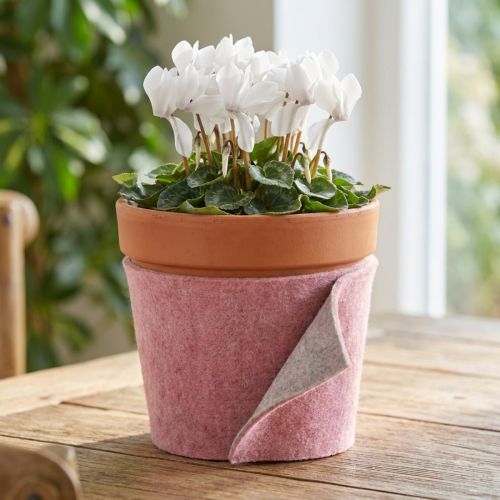 Plsťová stuha, črepníková dvojfarebná staroružová/sivá 15cm 5m | Floristik24.sk