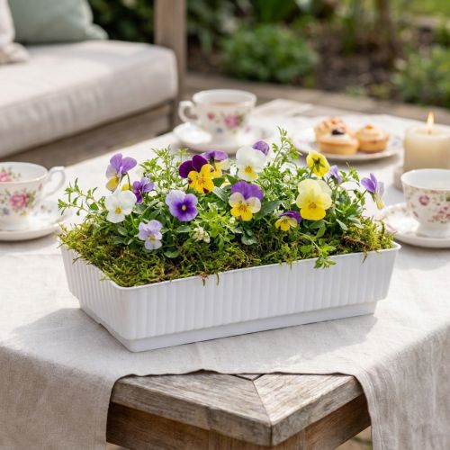 Zásuvková misa Lara 15cm x 8cm x 4cm 10ks | Floristik24.sk