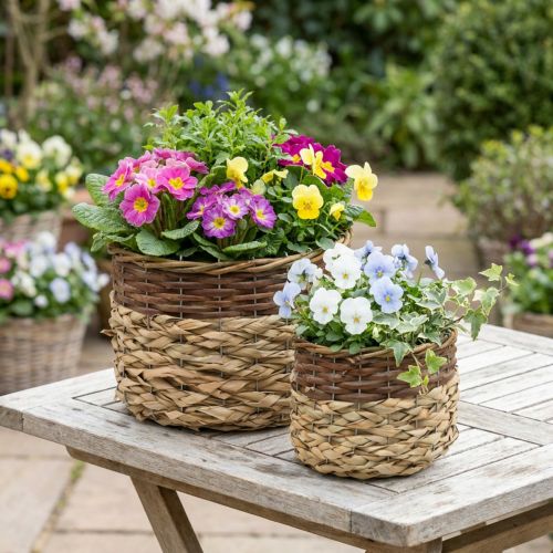 Prútený košík Prírodná prútená miska na rastliny Natural L30/22cm H20/17cm Súprava 2 kusov | Floristik24.sk
