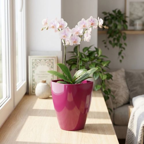Kvetináč na orchideu lesklý Ø12,5cm čerešňa 1 ks | Floristik24.sk