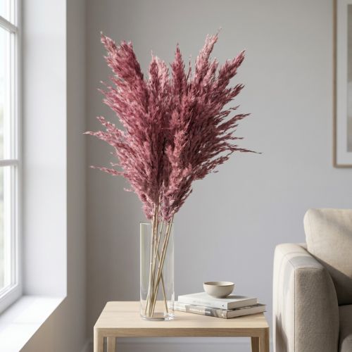 Sušená trstina, sušená dekoratívna tráva, antická ruža, 75 cm, 10 kusov | Floristik24.sk