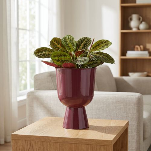 Kvetináč, v tvare misky, moderný štýl, dekoratívny do každej domácnosti a kancelárie, 23 cm | Floristik24.sk