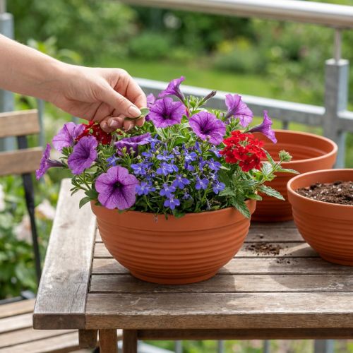 Článok R-miska plastová terakota Ø19cm, 10 kusov