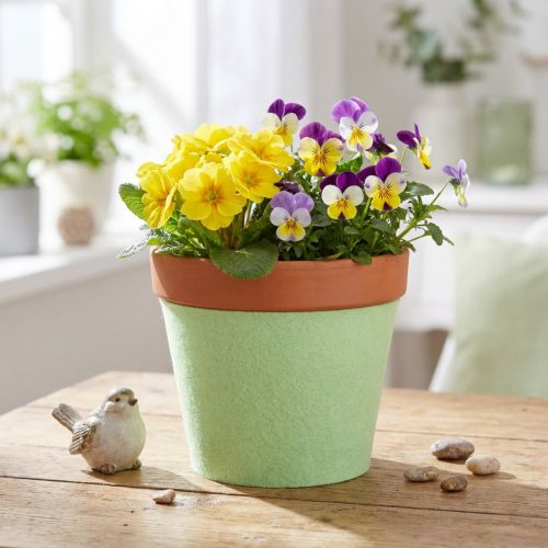 Plstená páska črepníková páska svetlozelená 15cm 5m | Floristik24.sk