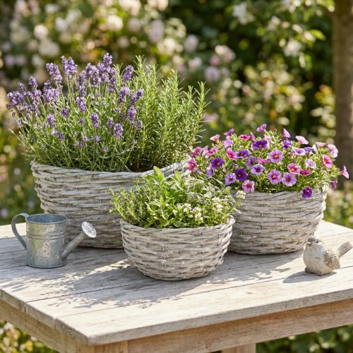 Článok Sada prútených kvetinových košov, bielo-sivá, dekorácia v štýle shabby chic, 3 kusy