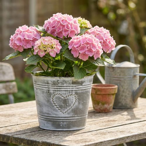 Kovový kvetináč v štýle Shabby Chic s dizajnom srdca, Ø22cm, V17,5cm | Floristik24.sk