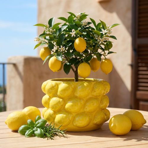 Článok Kvetináč citrónovník keramický žltý Ø18,5cm V12cm