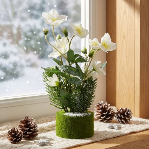 Vianočná ruža s jedľou a machovou guľou, umelá, biela, zasnežená, 33 cm | Floristik24.sk