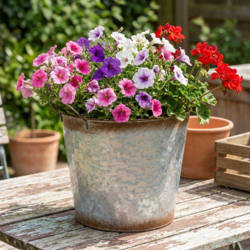 Kvetináč s rúčkami, ozdobná miska s hrdzavou úpravou, strieborná kovová nádoba Ø26cm V25,5cm | Floristik24.sk