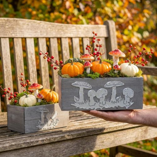 Drevený box set muchotrávka, jesenná dekorácia, záhradná dekorácia, truhlík na rastliny L40/30cm sada 2 ks | Floristik24.sk