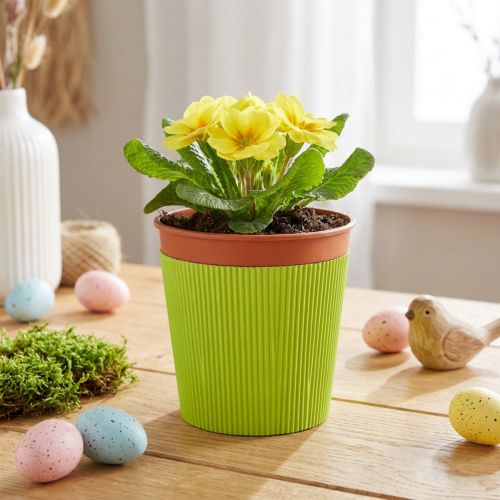 Článok Skladané manžety do kvetináčov svetlozelená 14,5cm 100 kusov