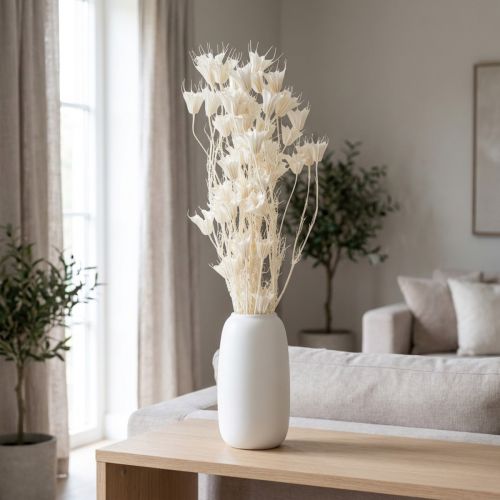 Sušené kvety Nigella, kytica elegantnej prírodnej dekorácie do exkluzívnych interiérov, 70 cm, 50 g | Floristik24.sk