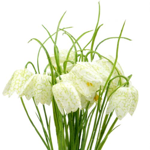 Floristik24 Šachovnicové kvety Fritillaria umelé biele, zelené 40cm 12ks