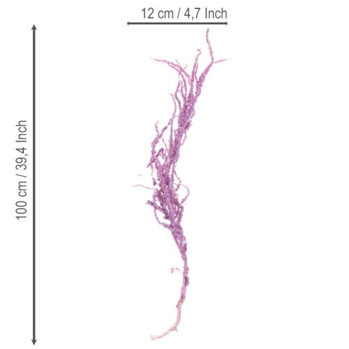 položky Sušené kvety líščieho chvosta, farbené, pre modernú bytovú dekoráciu, 100 cm, 5 kusov