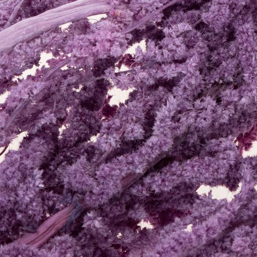 položky Sušené kvety líščieho chvosta, farbené, pre modernú bytovú dekoráciu, 100 cm, 5 kusov