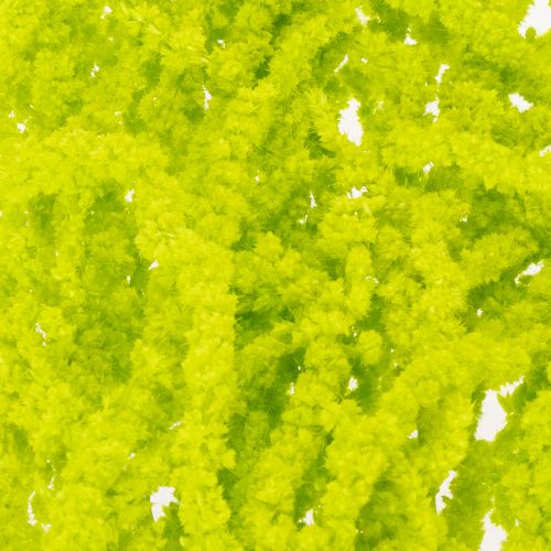 položky Sušené kvety líščieho chvosta, farbené, pre špeciálnu bytovú dekoráciu a jedinečné akcenty, 100 cm, 5 kusov