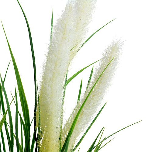 položky Foxtail Grass Green, White 63cm