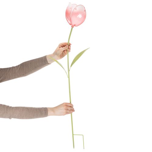 Dekoratívny tulipán v tvare kolíka na kvetinové záhony a okraje 94 cm | Floristik24.sk