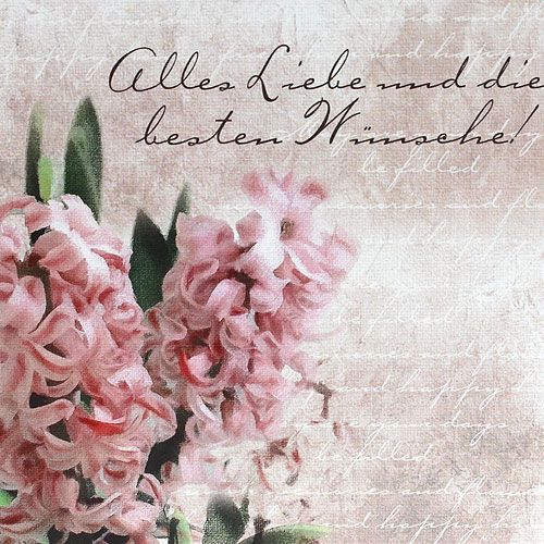 Floristik24 Narodeninové pohľadnice s obálkou 10,5cm x 10,5cm 6ks