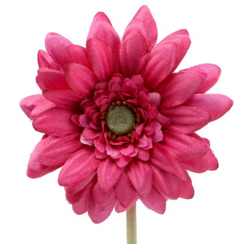 položky Gerbera ružová 48cm 12ks