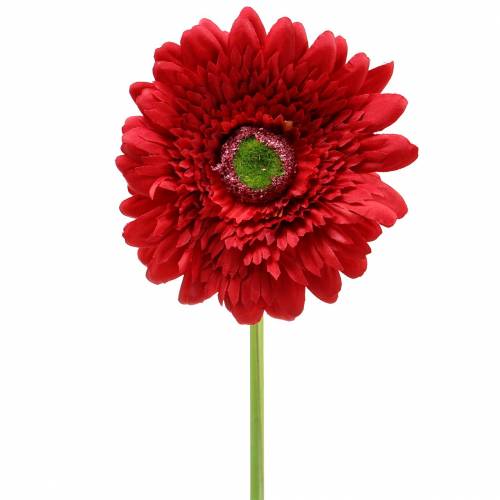 Floristik24 Gerbera umelá červená 62cm 6ks