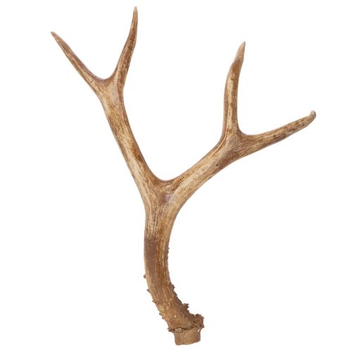 Umelé parohy, realistické, rustikálne, 32 cm kúpiť | Floristik24.sk