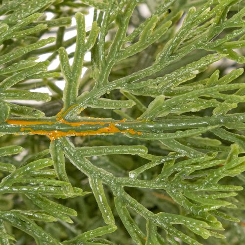 Girlanda z umelej jedle na dvere a okná, 200 cm | Floristik24.sk