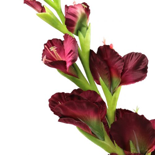 Floristik24 Gladiolus Real Touch Bordeaux 93 cm