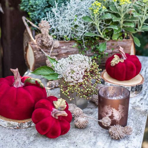 Floristik24 Sklenený lampáš, sklo na čajovú sviečku s motívom listov, jesenná dekorácia Ø8cm V9cm 2 kusy