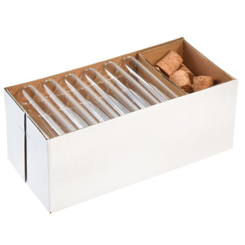 Floristik24 Mini vázičky sklenené dekoračné sklenené trubice s korkovými zátkami V11,5cm 24 ks