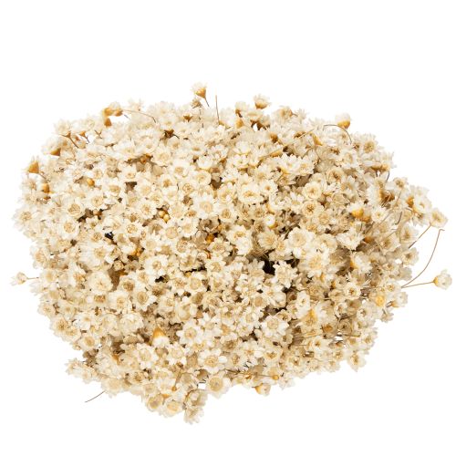 položky Kytica sušených kvetov, jemné kvietky na prírodnú dekoráciu domu, 44 cm