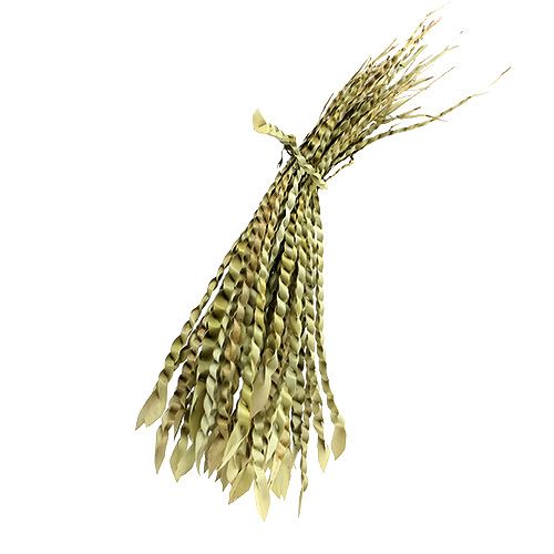 Zlatá úponka príroda 50 ks