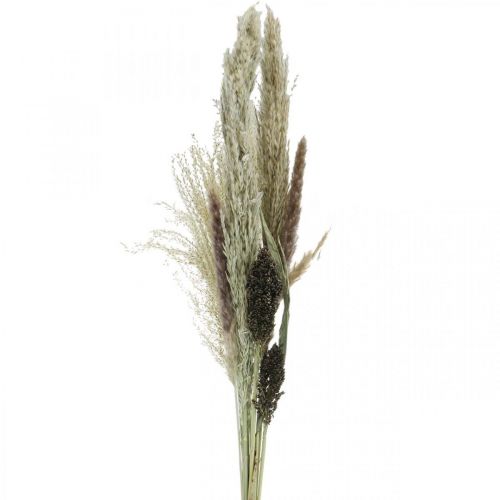 položky Sušené trávy vo zväzku Suchá floristika Suchá kytica V70cm