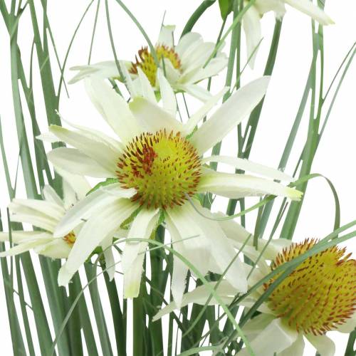 položky Umelá tráva s echinaceou v bielom črepníku 56cm