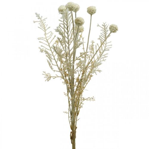 položky Suché trávy umelá pampová tráva allium cream, béžová V60cm