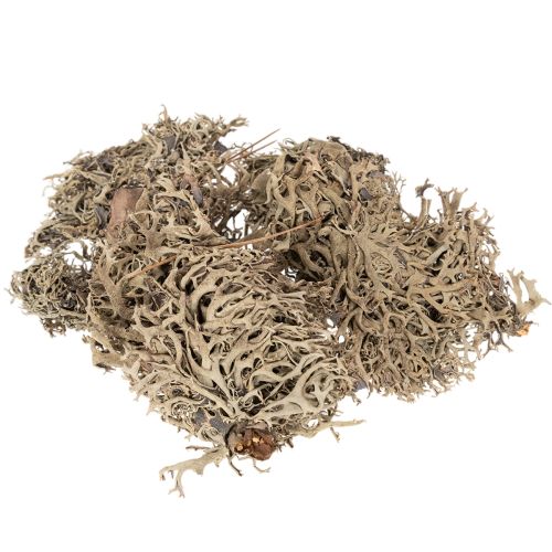 Dekoratívny mach, sivý mach na remeslá, 500g kúpiť | Floristik24.sk