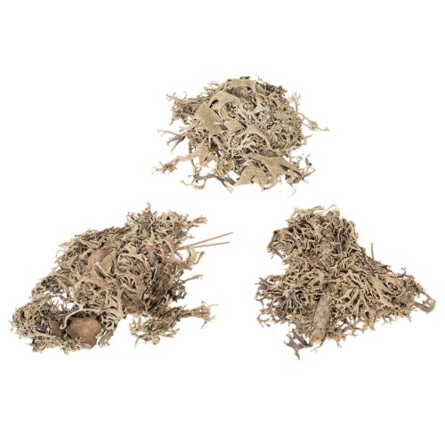 Dekoratívny mach, sivý mach na remeslá, 500g | Floristik24.sk