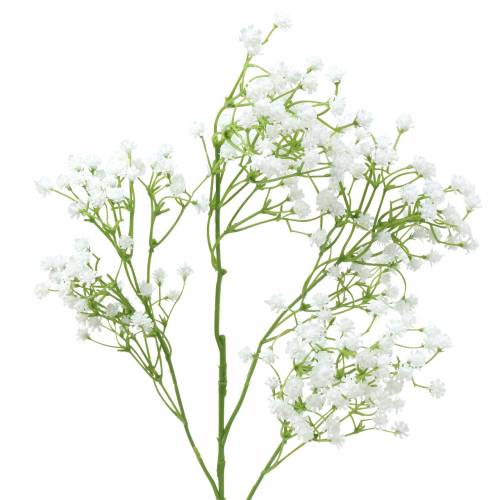 Floristik24 Baby&#39;s Breath Gypsophila biela 66cm