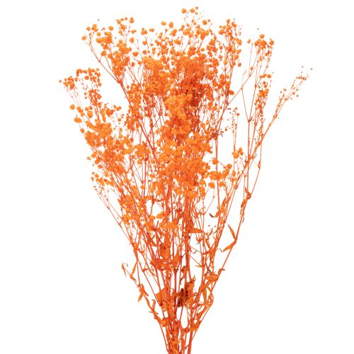 Kytica sušených kvetov Gypsophila s dychom pre bábätká 75 cm 100 g kúpiť | Floristik24.sk
