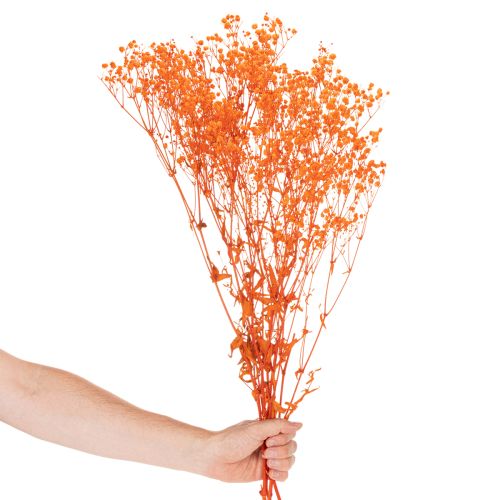 Kytica sušených kvetov Gypsophila s dychom pre bábätká 75 cm 100 g | Floristik24.sk