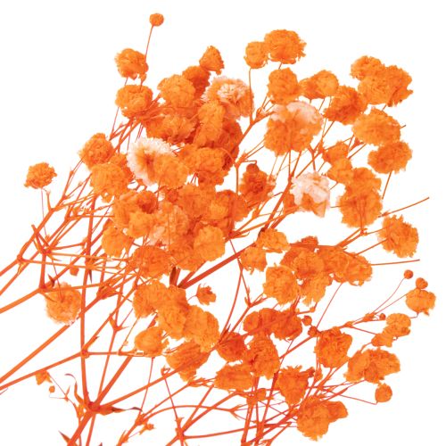 Kytica sušených kvetov Gypsophila s dychom pre bábätká 75 cm 100 g | Floristik24.sk