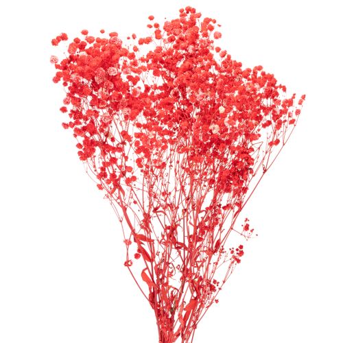 Sušený zväzok gypsofily (baby's breath) 75 cm 100 g kúpiť | Floristik24.sk